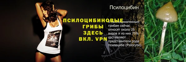 apvp Снежногорск
