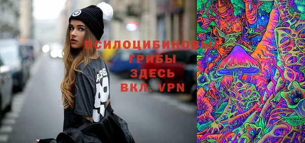 хмурый Слюдянка
