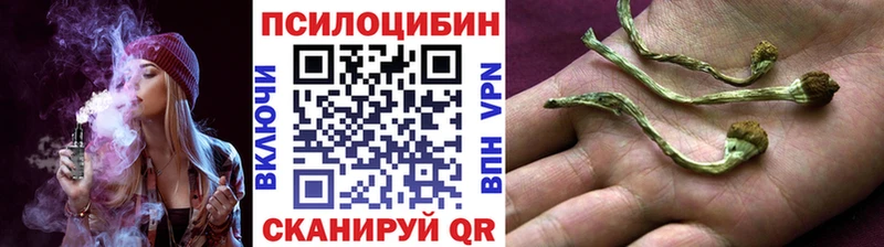 Псилоцибиновые грибы прущие грибы Весьегонск
